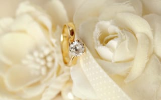 Картинка wedding, кольца, soft, свадьба, ring, lace, flowers, цветы