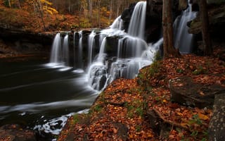 Картинка Brush Creek Falls, осень, водопад, каскад, листья, лес, West Virginia, река, Западная Виргиния