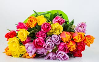 Картинка цветы, букет, тюльпаны, colorful, flowers, tulips
