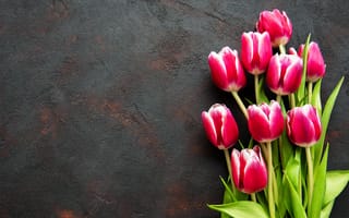 Картинка цветы, букет, pink, тюльпаны, flowers, розовые, tulips