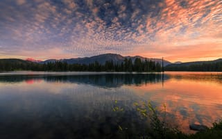 Картинка закат, природа, отражение, лес, озеро