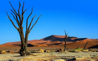 Картинка пейзаж, пески, Набибия