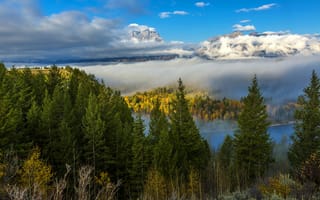 Картинка США, горы, Wyoming, река, осень, облака, деревья, туман, лес, Grand Teton