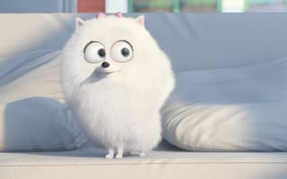 Картинка The Secret Life of Pets, cinema, pad, movie, Universal Pictures, Illumination Entertainment, animal, leash, pet, adventure, Jenny Slate, puppy, Gigi, hair top, film, family, white fur, drawing, dog, official, white, big eyes, couch, comedy, cartoon, living room, graphic animation