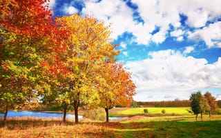 Картинка Autumn, облака, деревья, небо, осень, яркие, голубое
