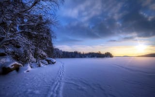 Картинка поле, пейзаж, зима, снег