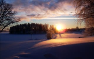 Картинка Dark Winter, солнце, зима