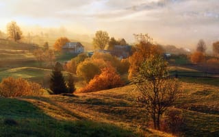 Картинка осень, огороды, туман, поля, солнце, деревья, простор, заборы, домики