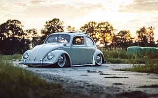Картинка Volkswagen, деревья, дорога, небо, колеса, sunroof, закат, Beetle