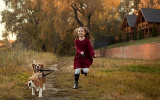Картинка осень, дома, собаки, бигль, ребёнок, природа, животные, Екатерина Борисова, девочка