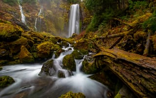 Картинка лес, ручей, водопады, Gifford Pinchot National Forest, речка, Washington State, камни, брёвна