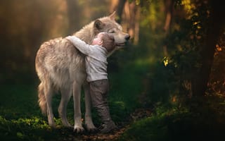 Картинка мальчик, дружба, волк