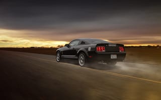 Картинка Ford, Car, Aristo, Mustang, Collection, Road, Muscle, Grey, Speed, GT 350, Rear