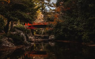 Картинка Природа, Мост, Деревья, Bridge on Miyajima Island, Водный канал, Япония