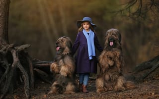 Картинка собаки, девочка, Анастасия Бармина, шляпа, шарф