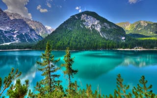 Картинка деревья, горы, Dolomites, Italy, Доломитовые Альпы, Trentino, озеро, Трентино, Италия