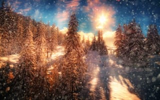 Картинка Fire and Ice, солнце, деревья, снег, обработка, лес