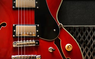 Картинка электрогитара, струны, Gibson 335, макро