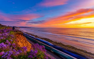Картинка закат, цветы, Pacific Ocean, California, побережье, океан, Калифорния, Тихий океан