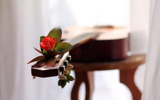 Картинка гитара, роза, мелодия, музыка, любовь