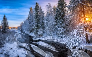 Картинка зима, река, лес, утро