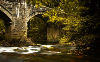 Картинка мост, природа, река