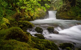 Картинка лес, река, Washington State, штат Вашингтон, мох, водопад, камни, North Cascades National Park