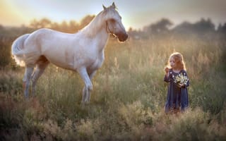 Картинка природа, девочка, конь