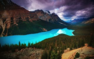 Картинка горное озеро, голубое озеро, ледниковое озеро, Пейто, Канада, Национальный парк Банф, горы, лес