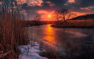 Картинка закат, река, весна, солнце, камыш, вечер, снег, лед