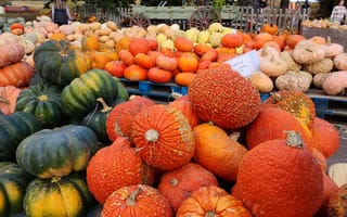 Картинка тыква, овощ, фрукты, фрукт, осень