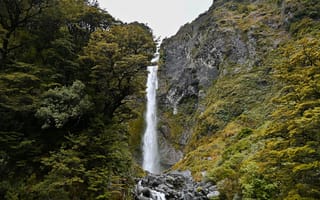 Картинка Новая Зеландия, водопад, природа, скала, лес, деревья, дерево