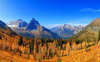 Картинка горы, гора, природа, пейзаж, лес, деревья, дерево, осень