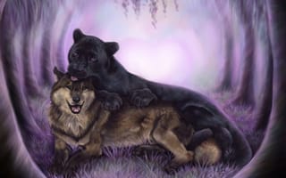 Картинка животные, черная, арт, дружба, волк, хищники, пантера