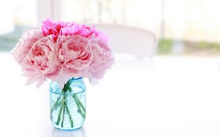 Картинка банка, пионы, ваза, розовые, цветы, баночка, голубая