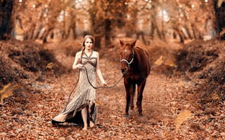 Картинка лошадь, Fairy, женщины, Di, Лошади, tale, Alessandro, осенние, молодые, Девушки, Осень, женщина, молодая, девушка, Cicco