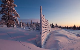 Картинка зимние, Природа, снегу, ограда, Снег, снеге, Забор, забора, Зима, снега, забором