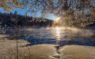 Картинка Финляндия, льда, река, Природа, Лед, на, ветка, ветвь, речка, Реки, Ветки, ветке
