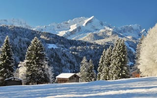Картинка Альпы, Германия, Снег, Garmisch, снегу, альп, Partenkirchen, ели, снега, снеге, зимние, Зима, Ель, Природа, Горы