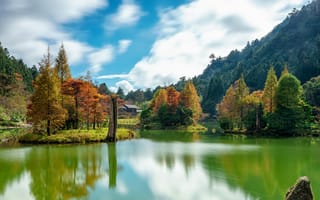 Картинка Тайвань, Mingchi, Осень, Реки, Деревья, дерева, речка, Природа, река, деревьев, Горы, гора, осенние, дерево