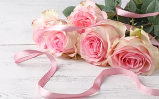 Картинка букет, Розы, розовые, цветок, Лента, роза, Букеты, Розовый, ленточка, Цветы, розовая, розовых