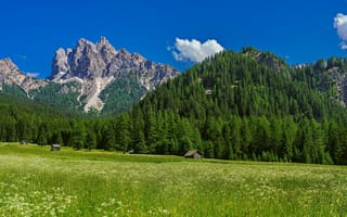 Картинка альп, Италия, Природа, дерево, Горы, Adige, дерева, Trentino-Alto, гора, деревьев, Альпы, Луга, Деревья