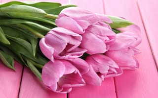 Картинка букет, Розовый, Букеты, цветок, розовых, розовая, розовые, тюльпан, Тюльпаны, Цветы