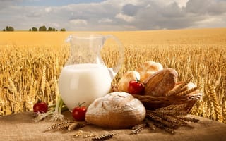 Картинка поле, небо, булочки, кувшин, пшеница, молоко, лук, помидоры, корзина, хлеб