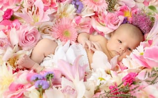 Картинка лилии, радость, дети, малыш, герберы, малышка, розы, цветы, ребёнок, позитив, счатье, ребенок