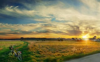 Картинка утро, дорога, велосипед, трава