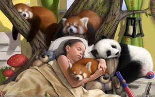 Картинка девочка, панда, арт
