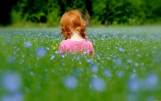 Картинка поле, цветы, девочка