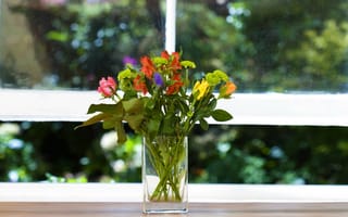 Картинка ваза, зелень, окно, подоконник, букетик, цветы