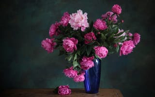 Картинка букет, ваза, пионы, розовые, синяя, цветы